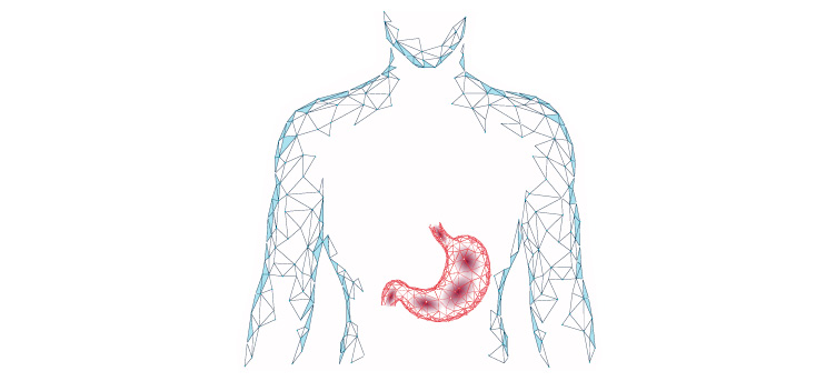 #paratodosverem: Ilustração de um torso humano com a representação da forma e localização do estômago dentro do corpo. O torso é ilustrado com linhas azuis e sem cor de preenchimento, e o estômago é ilustrado com linhas vermelhas.